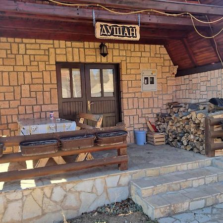 Planinska Kuca Dusan Mitrovac Luaran gambar