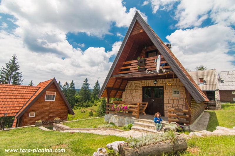 Planinska Kuca Dusan Mitrovac Luaran gambar