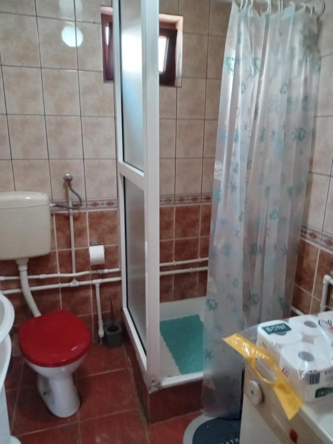 Planinska Kuca Dusan Mitrovac Luaran gambar