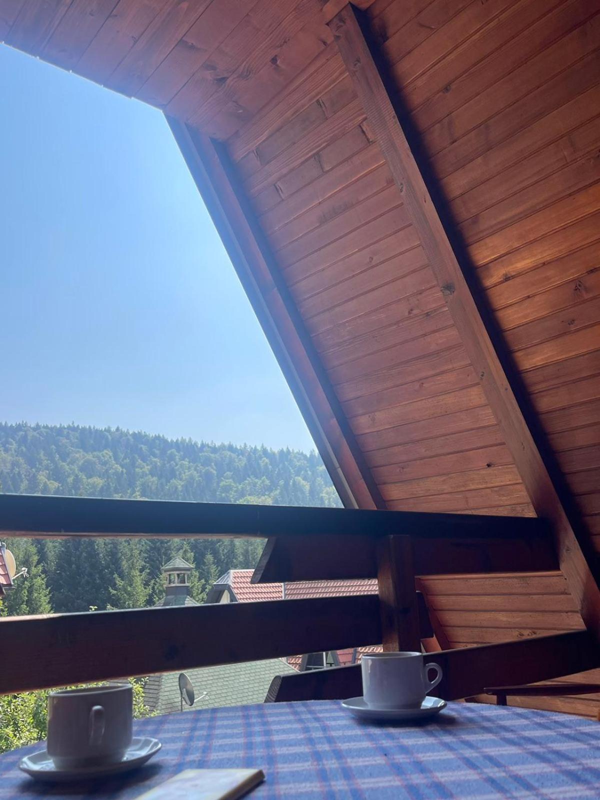 Planinska Kuca Dusan Mitrovac Luaran gambar